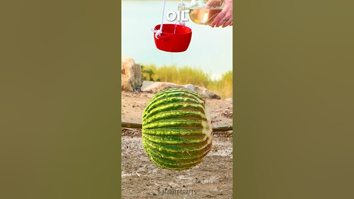 Cooking a wild cactus for a delicious meal🌵