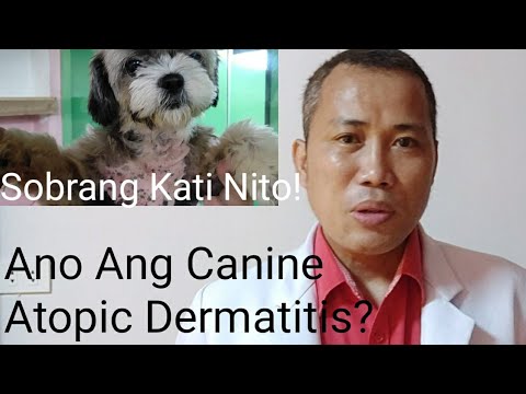 Pangangati Sa Balat Ng Aso//Canine Atopic Dermatitis/Allergy!