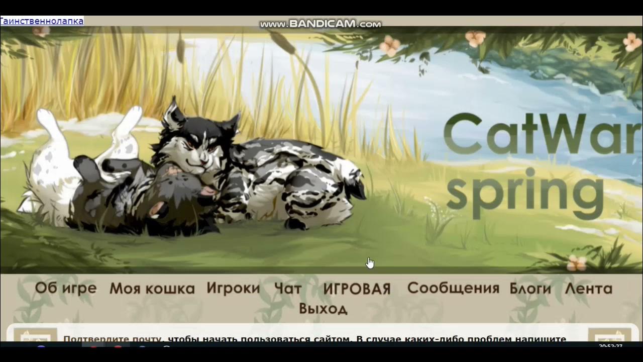 кэтвар вики. копание кэтвар. арканар кэтвар. собака кэтвар. потоп кэтвар.