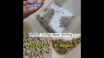 MINI32 Coffee Bean Color Sorte Machine