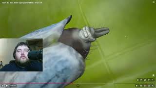 That's Not Rain, That's Super-powered Pee! | Deep Look - MATT MATT REACTS