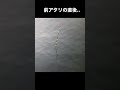 ウキが沈む！遠矢ウキのアタリからアワセのタイミングまで