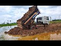 Wonderful Team Dump Truck Filling Up Soil In To Water With Bulldozer Komatsu D20A #Ep2277
