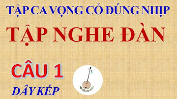 BÀI 3: DẠY CA VỌNG CỔ | TẬP NGHE ĐÀN ĐỂ CA VỌNG CỔ ĐÚNG NHỊP - CÂU 1 (DÂY KÉP)