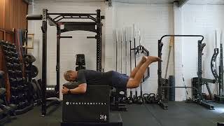 Reverse Hyperextension (knee bent)