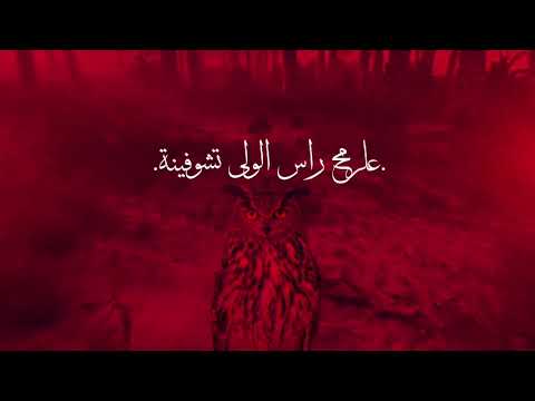 كم قلب ينرادلچ يا سكينه