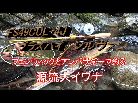 Fenwick FS49CUL-4J Glass High Sylvan and Ambassador fishing for