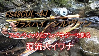 Fenwick FS49CUL-4J Glass High Sylvan and Ambassador fishing for