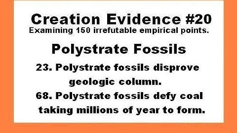 Polystrate Fossils - Creation Evidence #20