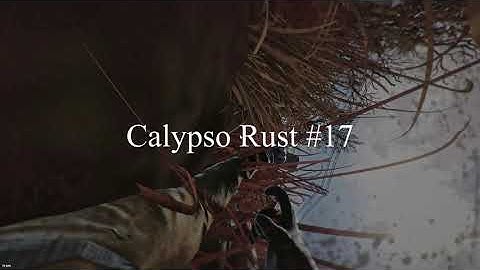 Calypso - Rust Montage #17