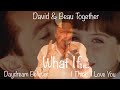 David Cassidy & Beau Duet / What if....