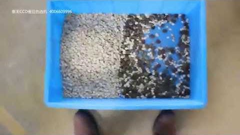 Broad bean color sorter