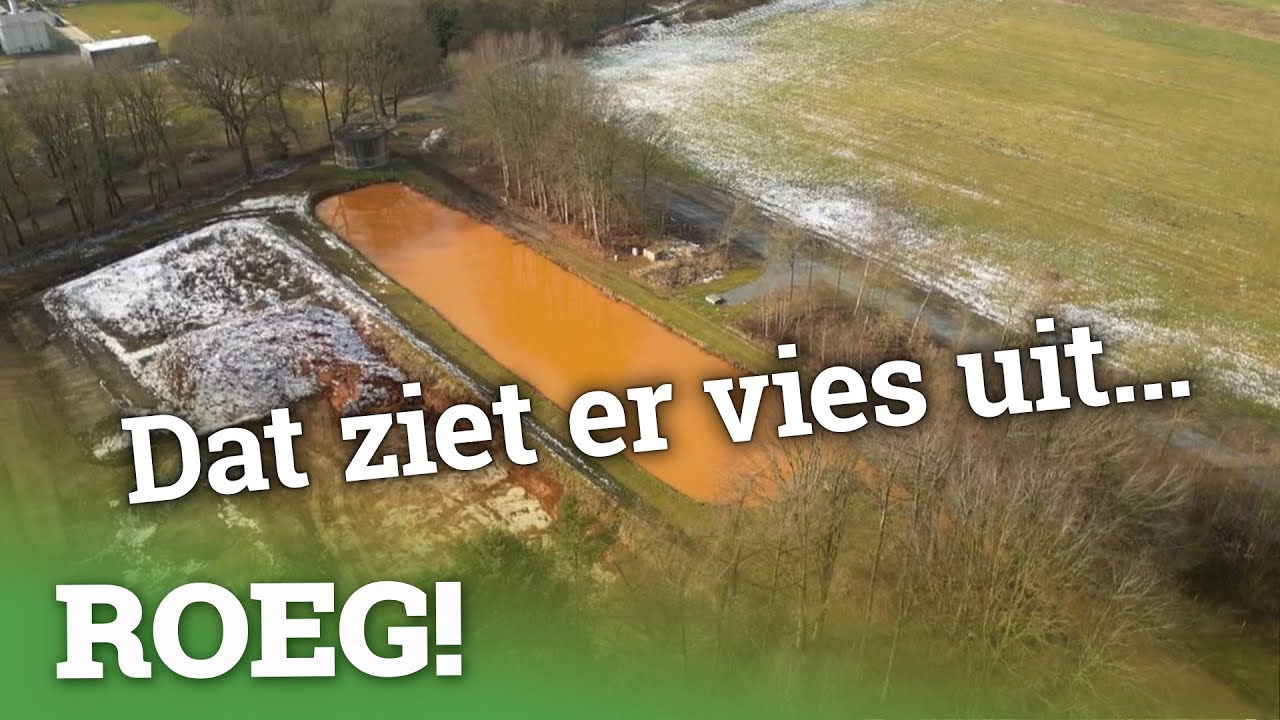 IJzerrijk water, knoflookpadden en een boomgaard in waterwingebied Valtherbos | ROEG! uitzending