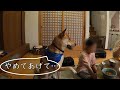 おねえちゃんを守ろうとするワンジロー