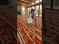 I Built a Glowing Autumn Forest Floor! | Birch Wood & Epoxy Resin DIY! #EpoxyFloor #AutumnDecor #diy
