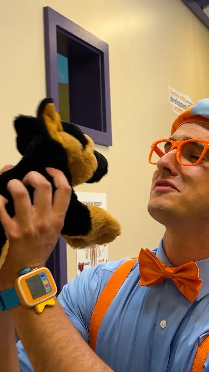 Blippi's Puppy Safety Rules! Animal Tips for Kids! #blippi #shorts