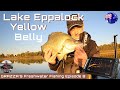 Lake Eppalock Yellow Belly Fishing with Lowance Active Target. Grazza Freshwater Fishing Episode 8.