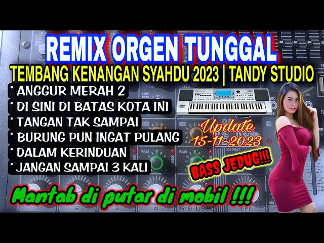 REMIX ORGEN TUNGGAL- TEMBANG KENANGAN SYAHDU 2023❗Cover Tandy Studio❗Anggur merah 2, Dalam kerinduan class=