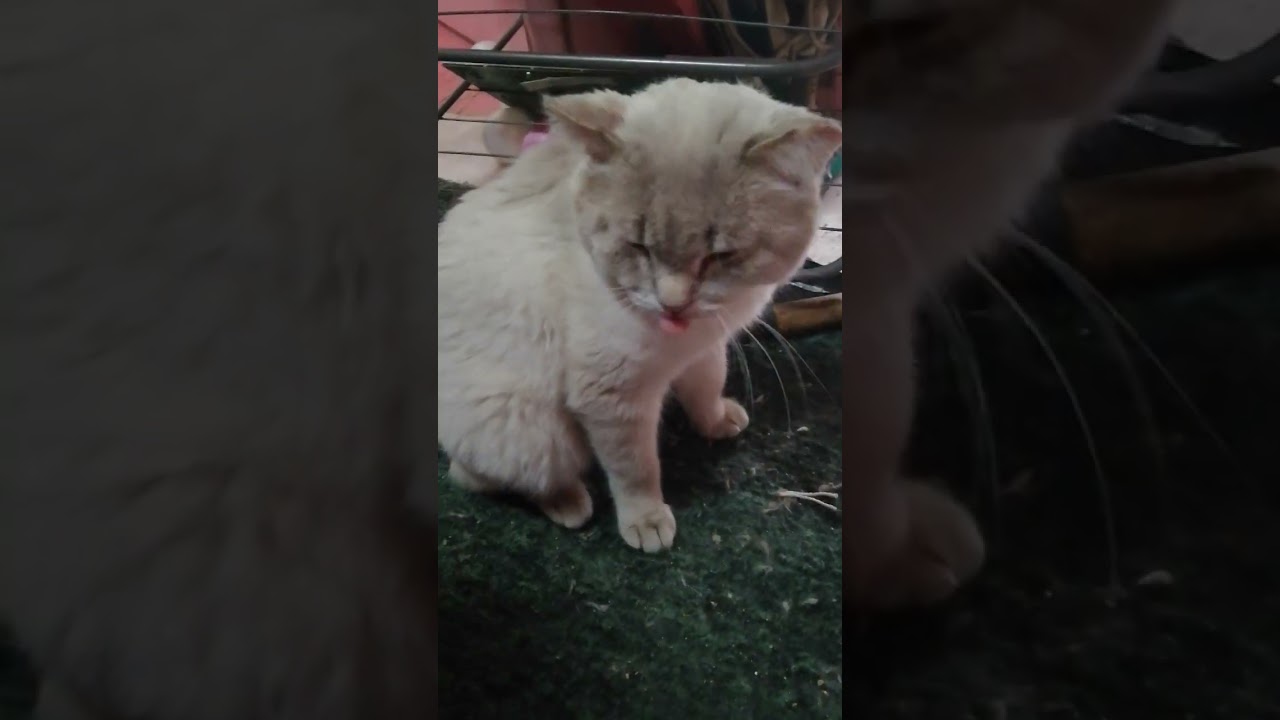 +200р. СПАСИБО!!!  Имени не видно, на Сбербанк 2202203654418625 Елена К. 21 февраля 2026г.