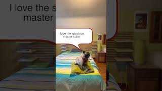 3103 25th st  Franny the Pug will show you around!