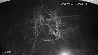 Full moon Orbs running like crazy