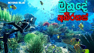 මුහුදේ අබිරහස් | Beyond Blue