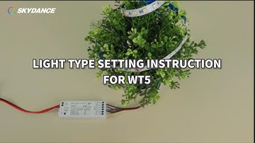 How to switch lights type for 5 in 1 Tuya APP controller WT5