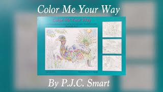 COLOR ME YOUR WAY by P.J.C. Smart - Flip through