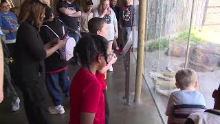 People pack Topeka Zoo for Capper's Dialogue Abilities Day