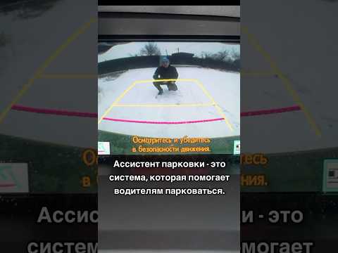 Ассистент парковки. Функция действительно полезная не только для начинающих водителей, но и опытных