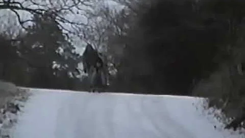 RONALD FARLEY AND RENEE MORROW PLAYING IN THE SNOW