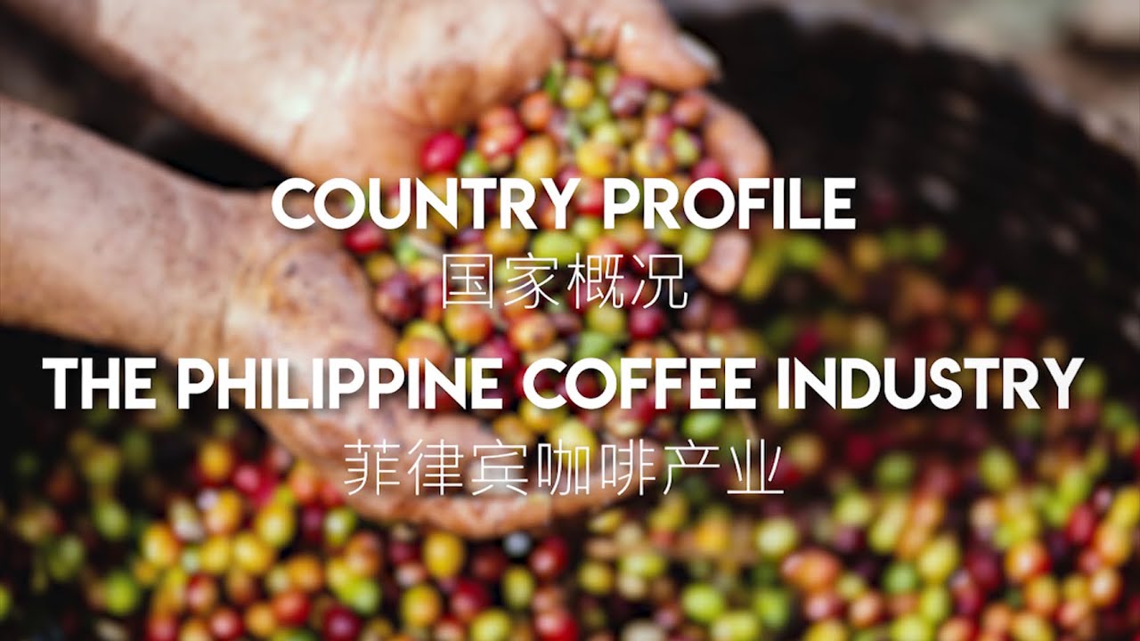 The Philippine Coffee Industry