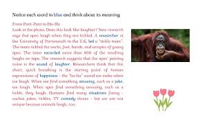 Unit 2: Good times, good feelings (Vocabulary 1)