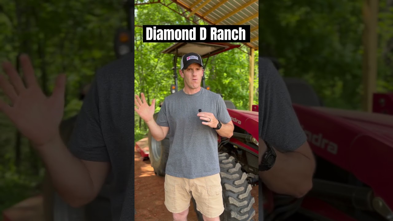 Free Beef Giveaway! Link is in the description. 