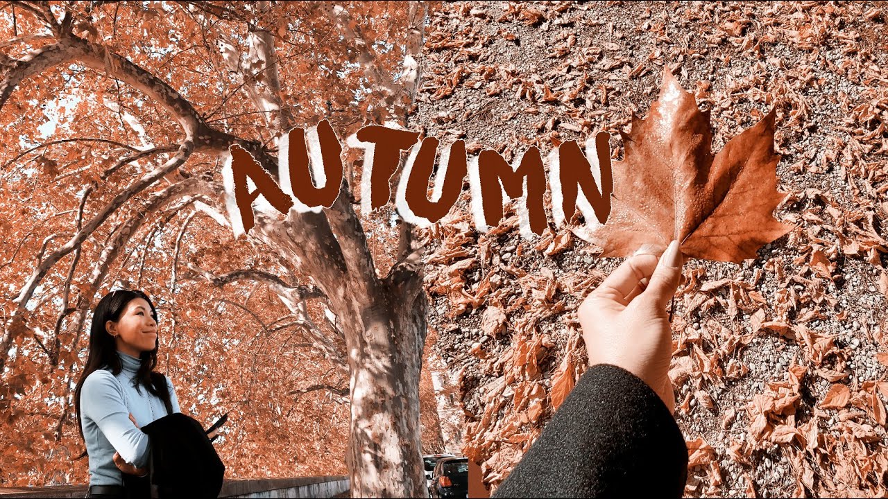 Aesthetic Rome in Autumn 