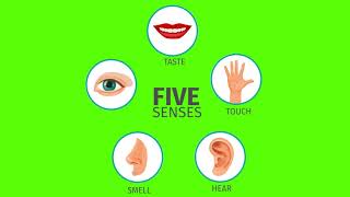 Five Senses Animation - Green Screen | Animation Video | After Effect | Latest Video 2020