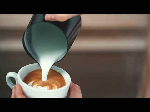 Rhino Coffee Gear Pitchers Latte Art