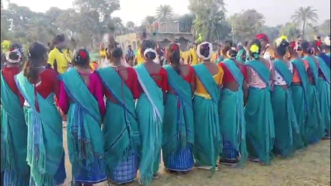 Santhali Adiwasi Treditional Dance With Panchi Sarees Treditional Style#treditional #trending#video