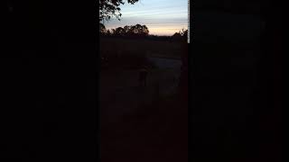 VID 20190722 042005