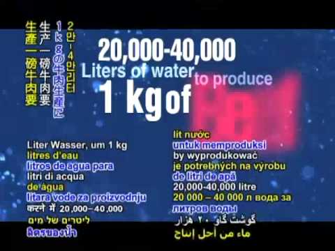 Мясоедение - причина нехватки воды (русские субтитры)