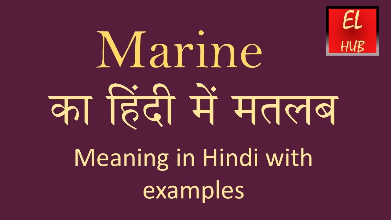 Marine Meaning In Hindi Youtube