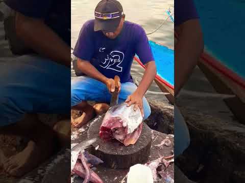 Expert Techniques in Tuna Cutting #fillet : #TunaCutting #ExpertSkills #Seafood #KnifeMastery