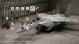 OVERVIEW of ALL F-15E STRIKE EAGLE Skins & Emblems | ACE COMBAT 8