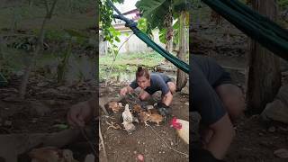 short goodvibes youtubeshorts youtube youtube