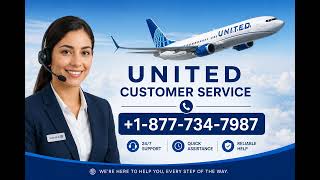 Does United Airlines Allow Pets in Cabin for International Flights? Complete Guide ✈️🐾
