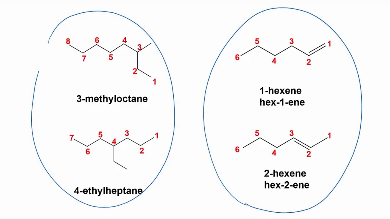 ⁣Numbering alkene isomers | Organic molecules | meriSTEM
