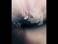 They a different breed 😭 #gojo #anime #jujutsukaisen #animeedit #anime #gojoedit