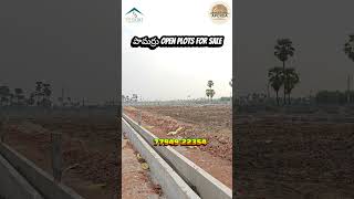low cost Open plots for sale in PAMARRU 📍#openplots #openplotsforsale #vijayawada #machilipatnam
