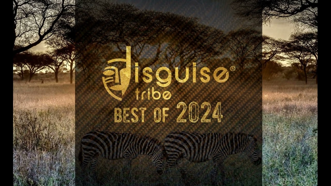 Disguise Tribe Best Of 2024