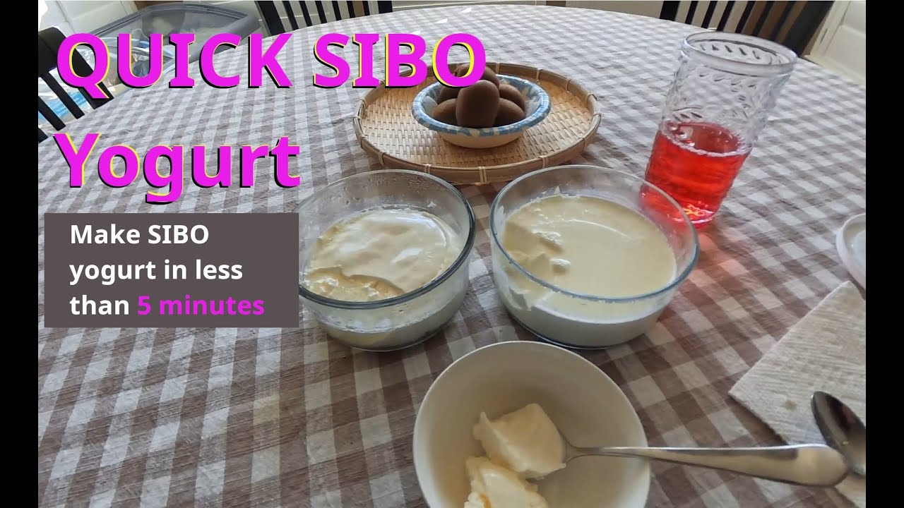 Йогурт 5 минут СИБО — л. реутери, л. Гассери и Б. субтилис